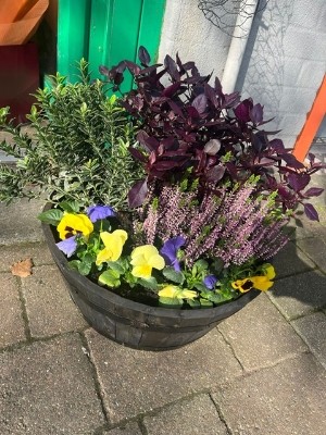 Autumn Wooden Planters