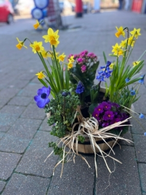 spring planter